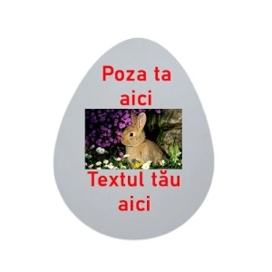 Ou Kinder personalizat cu poza si textul dorit