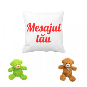 Set Perna personalizata si jucarie de plus