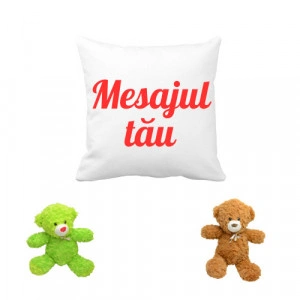 Set Perna personalizata si jucarie de plus