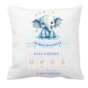 Amintiri din Prima Zi – Perna Personalizata Baiat