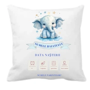 Amintiri din Prima Zi – Perna Personalizata Baiat