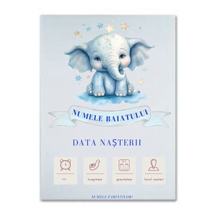 Bine ai venit – Tablou cu Datele Nasterii(Baiat)