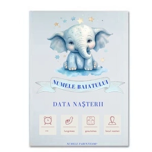 Bine ai venit – Tablou cu Datele Nasterii(Baiat)