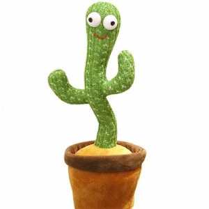 Cactus dansator