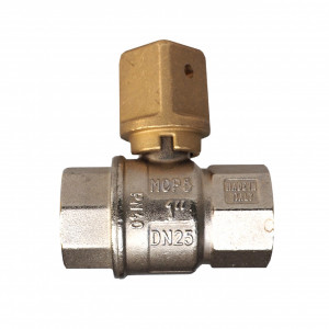 Robinet de concesie alama, FI-FI PN16, 1 Tol