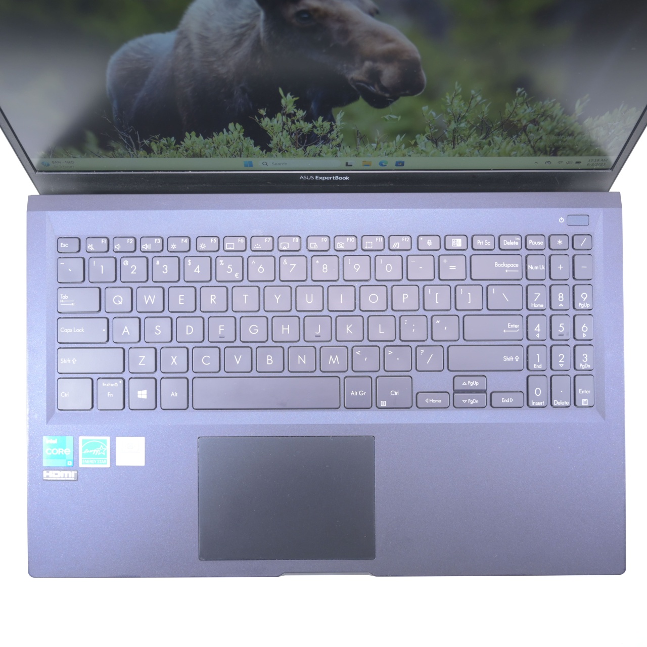 Laptop Asus ExpertBook B1 (B1500CEAE-BQ0299), Intel Core i3-1115G4, Rezolutie FullHD, 15.6