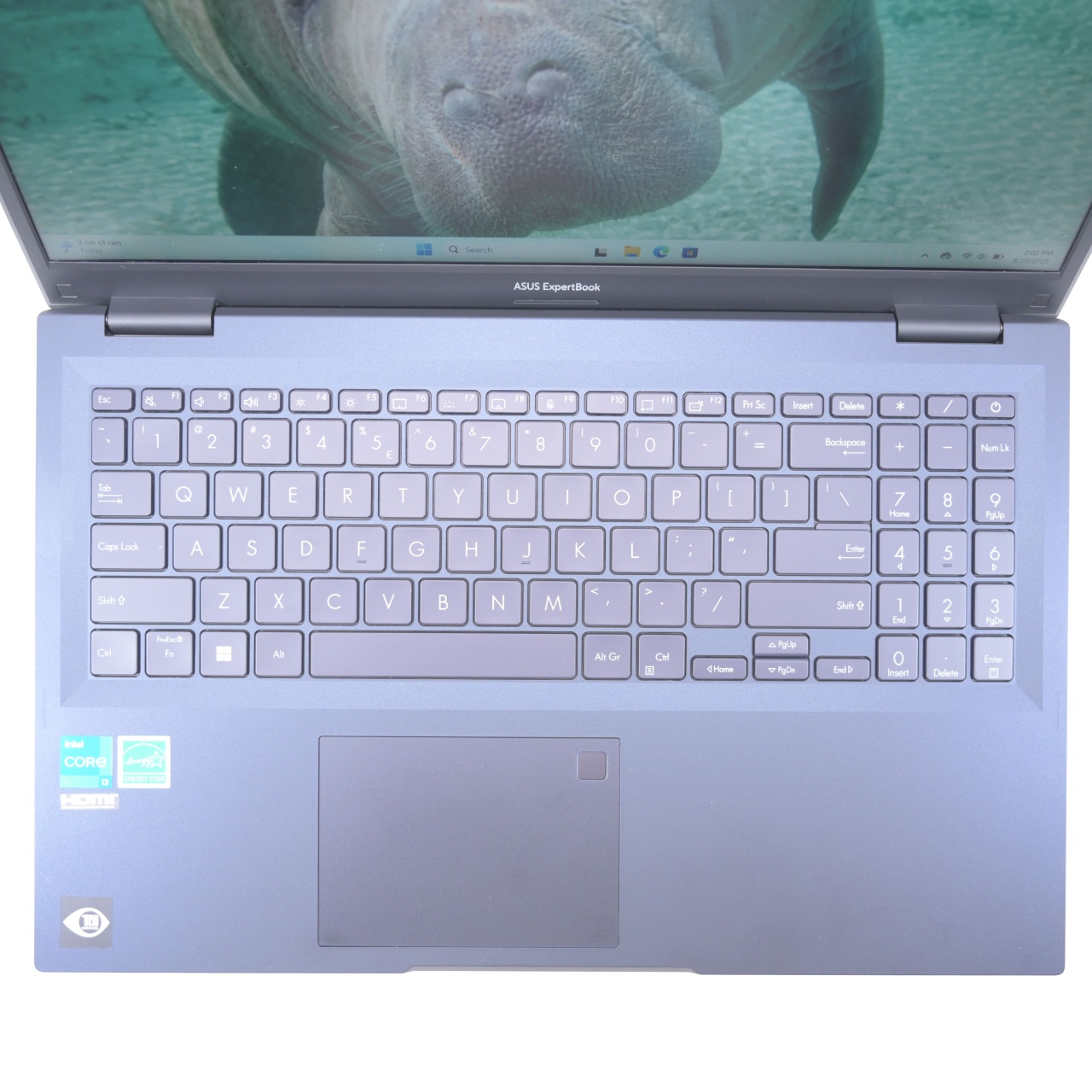 Laptop Asus ExpertBook (B1502CVA-BQ0321XA), Intel Core i3-1315U, 15.6