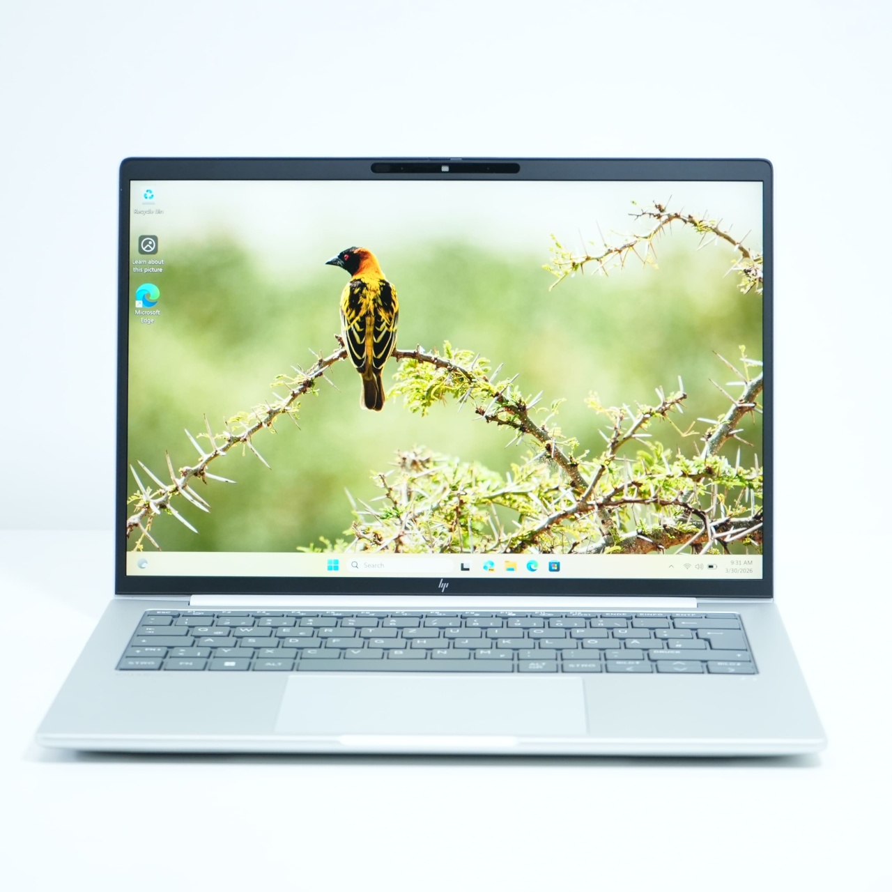 Laptop Hp Elitebook 8 G1a 14 Ai, AMD Ryzen AI 5 340, 14", Rezolutie 2560x1600, 120Hz, 32 GB DDR5, SSD de 512 GB, AMD Radeon 840M Graphics - imagine 2