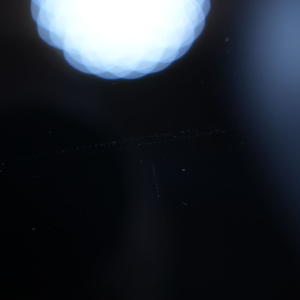 dsc06977_69e1d99d4e03f.jpg