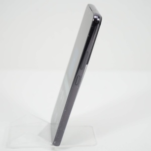 dsc07656_6a6c47eae8f22.JPG