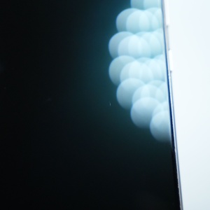 dsc03462_6a310776ad2be.JPG
