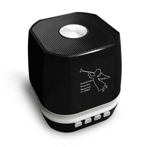 Boxa mini portabila cu MP3 player / radio FM / slot USB + bluetooth T2306A TED288336 - PM1