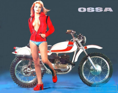 stainless steel spokes and nuts ossa enduro new set front and rear wheel