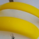 FENDERS OSSA GRIPPER OSSA TR FRONT & REAR NEW OSSA TR 80 FENDERS FRONT FENDER OSSA YELLOW MUDGUARDS OSSA 350 MUDGUARDS - Img 3