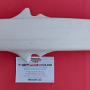 FRONT FENDER OSSA ENDURO NEW ORIGINAL PART OSSA 250 FRONT FENDER
