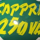 MONTESA CAPPRA 250 VB decal front number plate