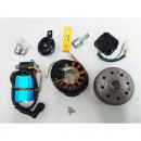 OSSA DESERT ELECTRONIC IGNITION 12v KIT PARTS NEW OSSA DESERT FUEGO ELECTRONIC IGNITION