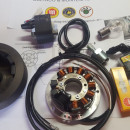 OSSA DESERT ELECTRONIC IGNITION 12v KIT PARTS NEW OSSA DESERT FUEGO ELECTRONIC IGNITION - Img 3