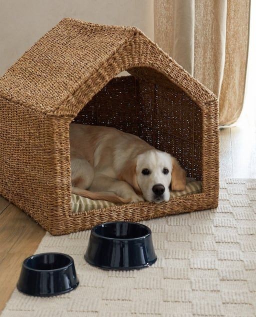 Accesorii pentru animale de companie