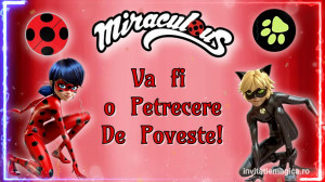 Invitatie Video Miraculous Buburuza si Motan Noir cod MIR05 - Img 2