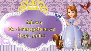 Invitatie Video tematica Printesa Sofia 1 cod SOF01 - Img 4