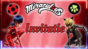 Invitatie Video Miraculous Buburuza si Motan Noir cod MIR05