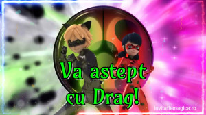 Invitatie Video Miraculous Buburuza si Motan Noir cod MIR10 - Img 2