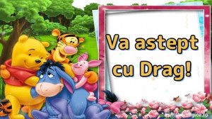 Invitatie Video tematica Winnie the Pooh cod WIN01 - Img 2
