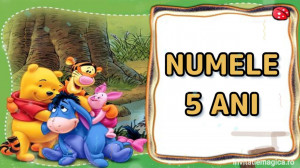 Invitatie Video tematica Winnie the Pooh cod WIN02 - Img 6