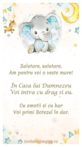 Invitatie Video Botez tematica pentru Baieti cod BTP05