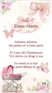 Invitatie Video Botez tematica pentru Fete cod BTP35