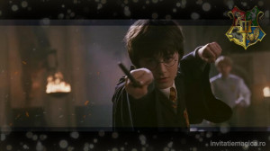 Invitatie video cu tematica Harry Potter Magie cod HP05