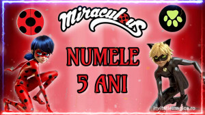 Invitatie Video Miraculous Buburuza si Motan Noir cod MIR05 - Img 3