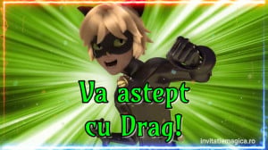 Invitatie Video Miraculous Buburuza si Motan Noir cod MIR10 - Img 3