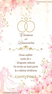 Invitatie video personalizata pentru Nunta cod NUN27