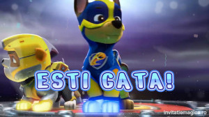 Invitatie Video Pow Patrol, Patrula catelusilor cod PP02 - Img 5