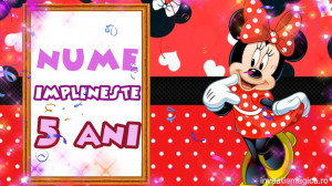 Minnie MI3 invitation - Img 2