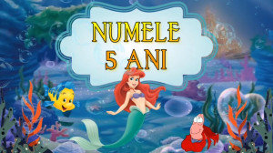 Invitatie Video Mica Sirena Ariel cod MS01 - Img 4