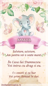 Invitatie Video Botez tematica pentru Fete cod BTP27