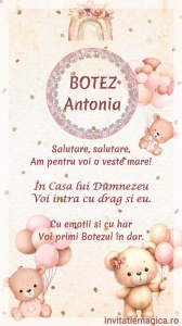 Invitatie Video Botez tematica pentru Fete cod BTP47