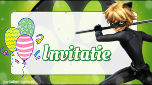 Invitatie Video Miraculous Buburuza si Motan Noir cod MIR03