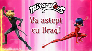Invitatie Video Miraculous Buburuza si Motan Noir cod MIR06 - Img 2