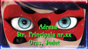 Invitatie Video Miraculous Buburuza si Motan Noir cod MIR08
