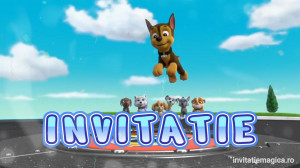 Invitatie Video Pow Patrol, Patrula catelusilor cod PP09