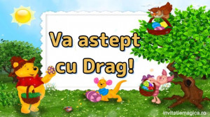 Invitatie Video tematica Winnie the Pooh cod WIN03 - Img 3
