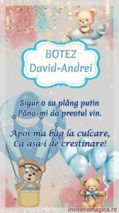 Invitatie Video Botez tematica pentru Baieti cod BTP48