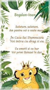 Invitatie Video Botez tematica pentru Baieti cod BTP58