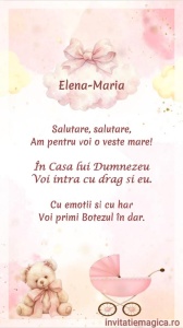 Invitatie Video Botez tematica pentru Fete cod BTP38