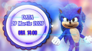 Invitatie Video cod SC02 Sonic - Img 3