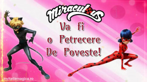 Invitatie Video Miraculous Buburuza si Motan Noir cod MIR06 - Img 3